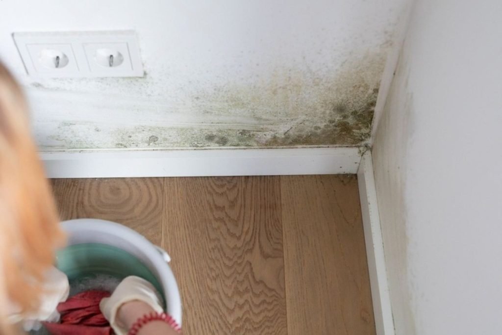 Hidden Water Damage Behind Walls
